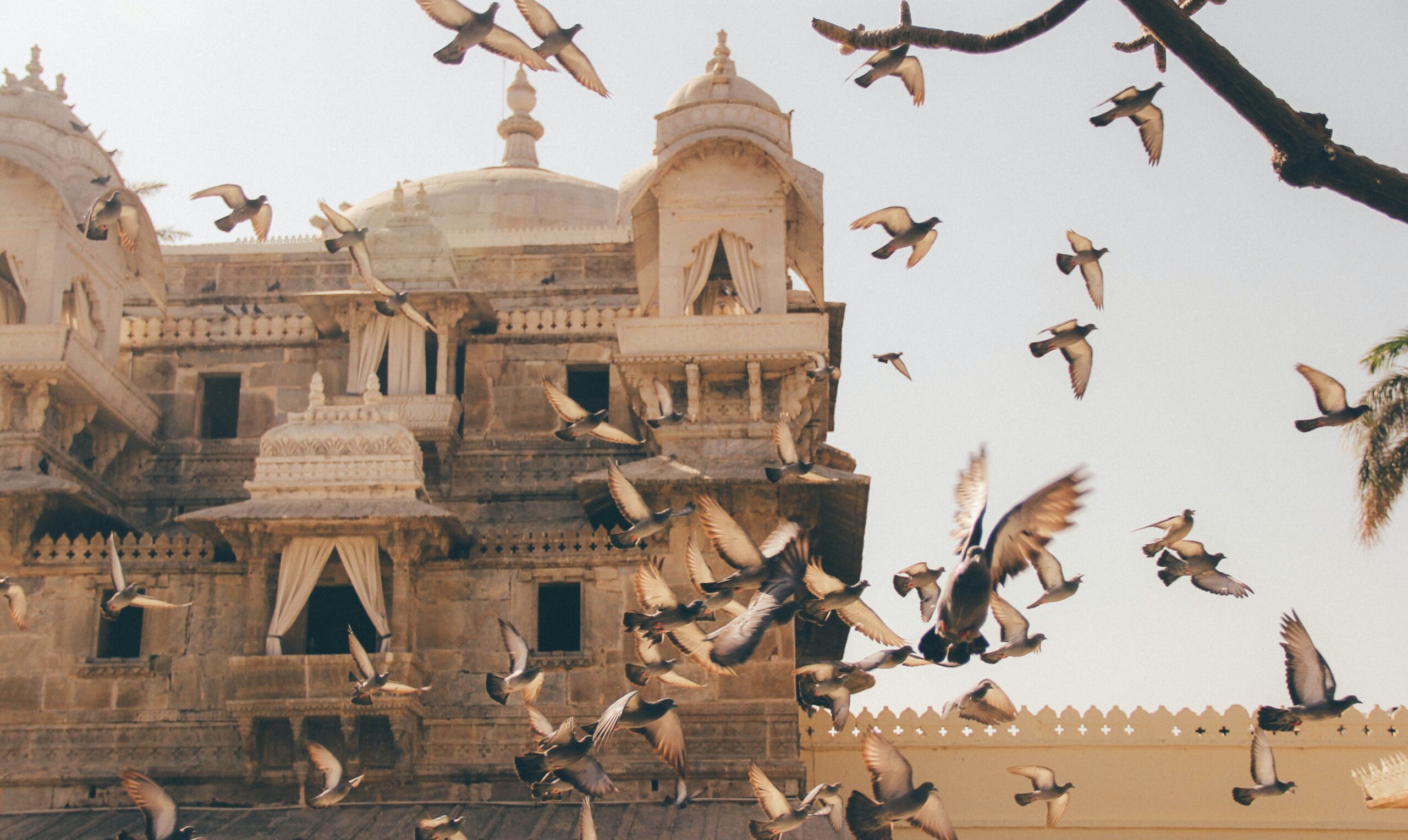 birds flying over ancient Indian monument indicating ancient Indian wisdom and it's positive impact in modern times.