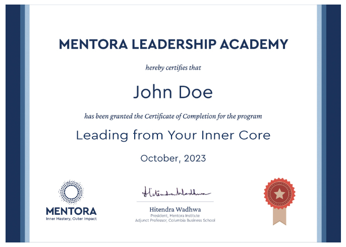 Executive Program Certificate from Mentora Institute